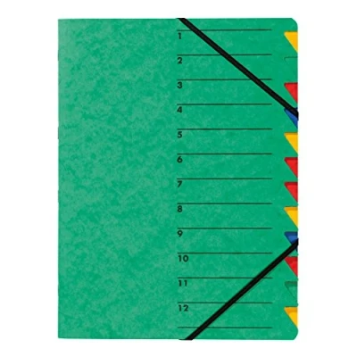 Abbildung von Pagna Ordnungsmappe Easy (Sammelmappe, 12 Fächer, 1 12) grün, A4