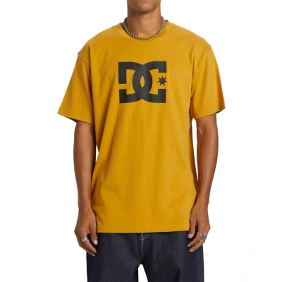 Abbildung von DC Shoes STAR Tshirt print, Größe: XS, Yky tinsel