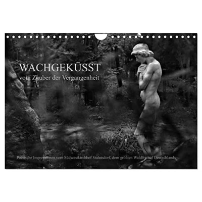 Abbildung von Wachgeküsst Vom Zauber der Vergangenheit Südwestkirchhof Stahnsdorf (Wandkalender 2025 DIN A4 quer), CALVENDO Monatskalender