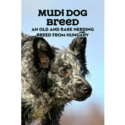 Abbildung von Mudi Dog Breed: An Old and Rare Herding Breed from Hungary: Complete Guide, Info, Pictures, Care More