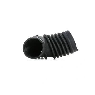 Abbildung von RIDEX 1591I0010 Ansaugschlauch, Luftfilter BMW: 3 Limousine, Compact, Coupe