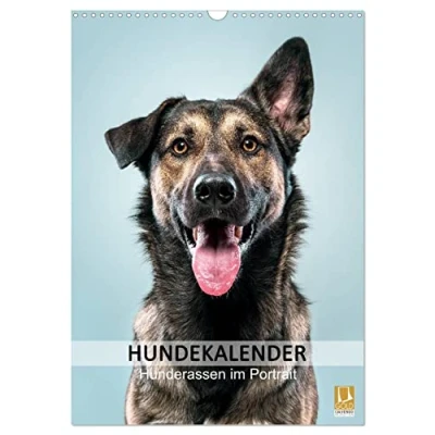 Abbildung von Hundekalender Hunderassen im Portrait (Wandkalender 2025 DIN A3 hoch), CALVENDO Monatskalender
