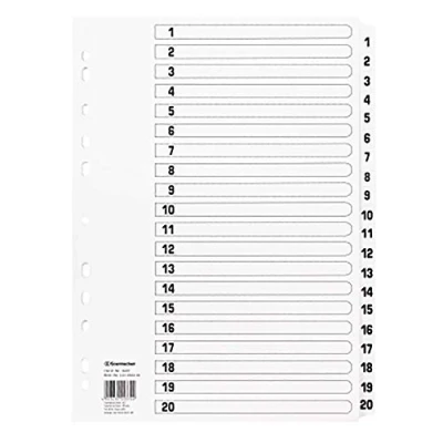 Abbildung von Soennecken Register Mylar 1607 1 20 weiß