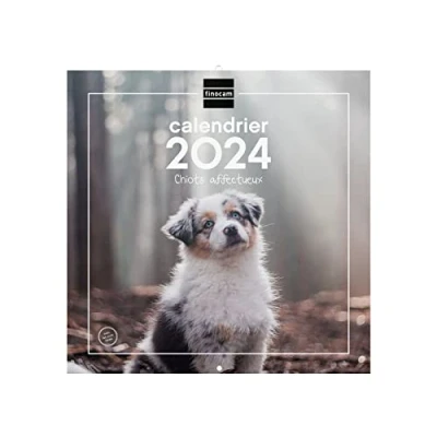 Abbildung von Finocam Kalender für Wandbilder, 30 x cm, Notizen 2024 Januar Dezember (12 Monate), französische Welpen