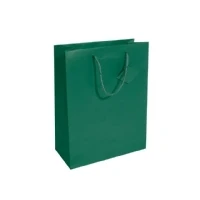 Abbildung von Sigel Geschenktasche Large opalgrün 260x330x120mm