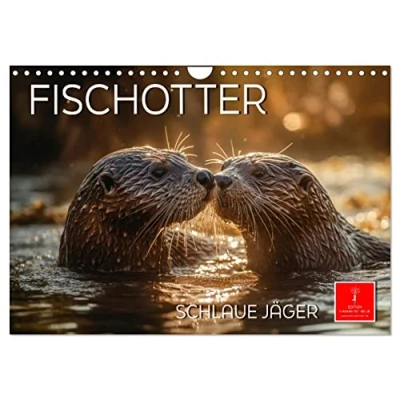 Abbildung von Fischotter schlaue Jäger (Wandkalender 2025 DIN A4 quer), CALVENDO Monatskalender