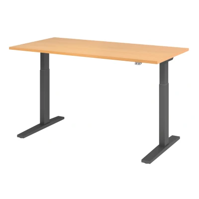 Abbildung von Hammerbacher Schreibtisch XMKA16 Buche/Graphit