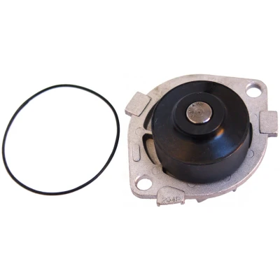 Abbildung von MAPCO 21020 Wasserpumpe mechanisch FIAT: BRAVO 1