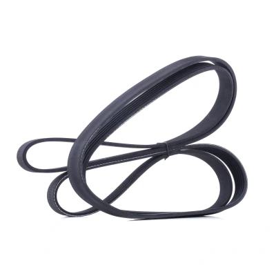 Abbildung von RIDEX 305P0365 Keilrippenriemen AUDI: A4 B8 Limousine, A6 C6 Allroad, Avant, HYUNDAI: Santa FE 2, 3, Grand Fé, KIA: SORENTO 2