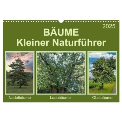 Abbildung von Bäume Kleiner Naturführer (Wandkalender 2025 DIN A3 quer), CALVENDO Monatskalender