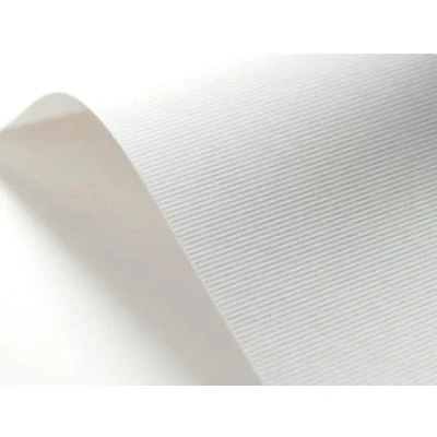 Abbildung von Netuno 100x Präge Karton Weiß gerippt DIN A4 21 x 29,7 cm 246g Elfenbeinkarton Ultraweiß Bastel strukturiert für Visitenkarten Einladungs Karten Zertifikate Diplome