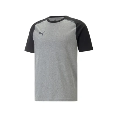 Abbildung von Puma TEAM CUP FußballTrikot, Herren, Größe: XL, Grau