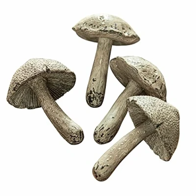 Abbildung von Loberon Pilz 4er Set Laval, sehr naturnah, Deko Champignons, ideal für herbstliche Arrangements, Dekoration, Dekoobjekte, Polyresin, Creme