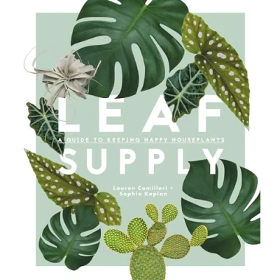 Abbildung von Leaf Supply: A Guide to Keeping Happy Houseplants
