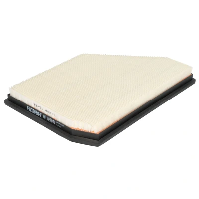 Abbildung von FILTRON AP 030/8 Luftfilter 36mm 198mm 288mm Filtereinsatz BMW: X5, X7, X6