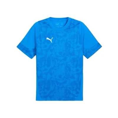 Abbildung von Trainingstrikot Puma Cup