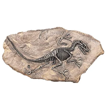 Abbildung von VOANZO Resin Dinosaur Fossil Statue Modell Simuliertes Skelett Home Office Display Dekorative Basteldekoration
