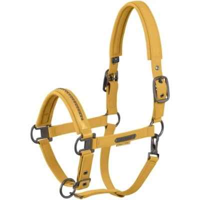 Abbildung von Eskadron Halfter Softshell Pearls Platinum &#039;25 Golden Yellow Warmblut Agradi.deVerkauft von Agradi