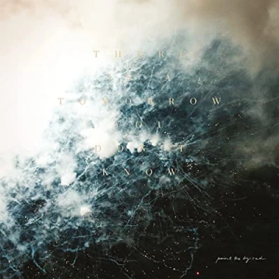 Abbildung von There Is A Tomorrow You Don&#039;t Know [Vinyl LP]
