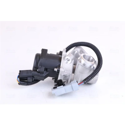 Abbildung von NISSENS 98245 AGR Ventil ohne Kühler FORD: Focus C Max