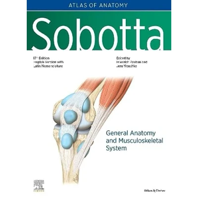 Abbildung von Sobotta Atlas of Anatomy, Vol.1, 17th ed., English/Latin: General Anatomy and Musculoskeletal System