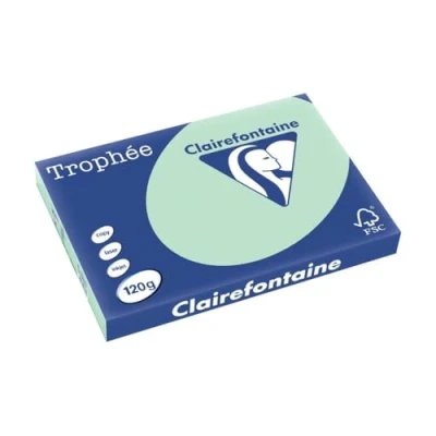 Abbildung von 5 x Clairefontaine Kopierpapier Trophee A3 120g/qm VE=250 Blatt hellgr