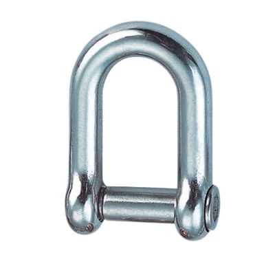 Abbildung von Rundschäkel mit Innensechskant 8 mm Edelstahl 316 (A4)