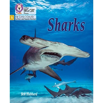 Abbildung von Sharks: Phase 5 Set 1 (Big Cat Phonics for Little Wandle Letters and Sounds Revised)