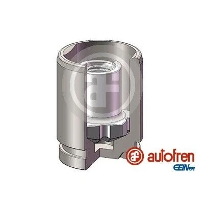Abbildung von AUTOFREN SEINSA D025787K Kolben, Bremssattel 38 Hinterachse Mando HYUNDAI: i40 Kombi