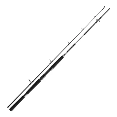 Abbildung von Daiwa BG Deep Sea 2,20m 30lbs Meeresrute