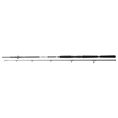 Abbildung von Daiwa BG Pilk 2,40m 50 165g Meeresrute