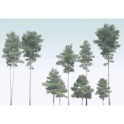 Abbildung von Komar Vliestapete &quot;Pines&quot;, 400x280 cm (Breite x Höhe), Vliestapete, 100 Bahnbreite