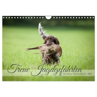 Abbildung von Treue Jagdgefährten Der kleine Münsterländer (Wandkalender 2025 DIN A4 quer), CALVENDO Monatskalender