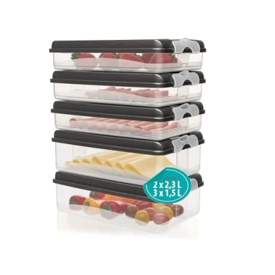 Abbildung von Hausfelder Frischhaltedose Aufschnittboxen für den Kühlschrank mit Deckel, Kunststoff, (Set, 5 tlg., 3x flach, 2x hoch), Organizer