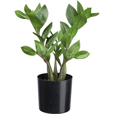 Abbildung von Creativ green Künstliche Zimmerpflanze &quot;Zamifolia&quot;, mit detailgetreuen Blättern