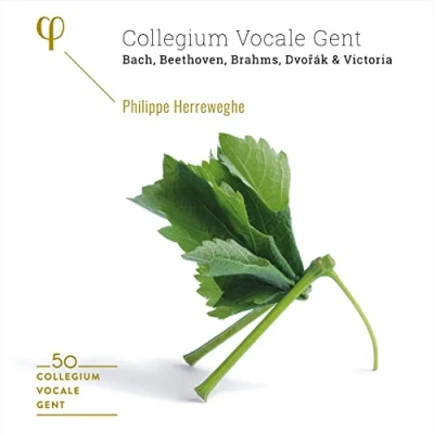 Abbildung von Collegium Vocale Gent: 50th Anniversary