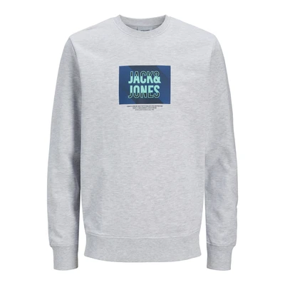 Abbildung von Jack &amp; Jones PlusSize Sweatshirt JJHUDSON SWEAT CREW NECK PLS