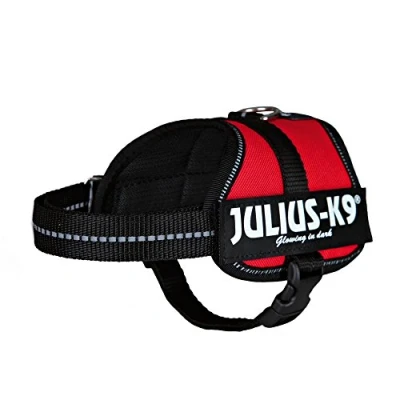 Abbildung von Julius K9 Hunde Powergeschirr rot