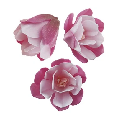 Abbildung von Dekora Magnolie Tortendeko Essbar 6 Essbare Blumen für Torte aus Oblate 6,5 7 cm