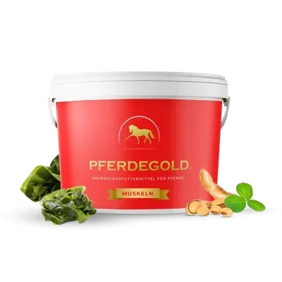 Abbildung von Pferdegold Muskel Eimer 1.5kg 1,5kg