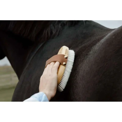 Abbildung von Kentucky Horsewear Bürste SoftVerkauft von Agradi