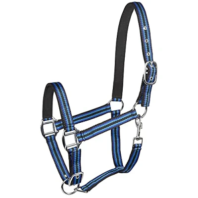 Abbildung von PFIFF 101517 Kunststoffhalfter, Weidehalfter Stallhalfter, Schwarz Türkis Blau, Cob