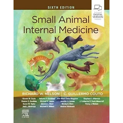 Abbildung von Small Animal Internal Medicine