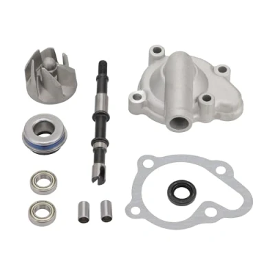 Abbildung von GOOFIT Wasserpumpe Assy Ersatz für CF250cc CH250cc 250cc Wassergekühlte ATV Go Kart und Scooter