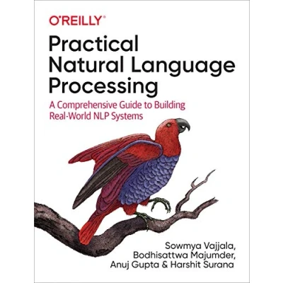 Abbildung von Practical Natural Language Processing: A Comprehensive Guide to Building Real World Nlp Systems