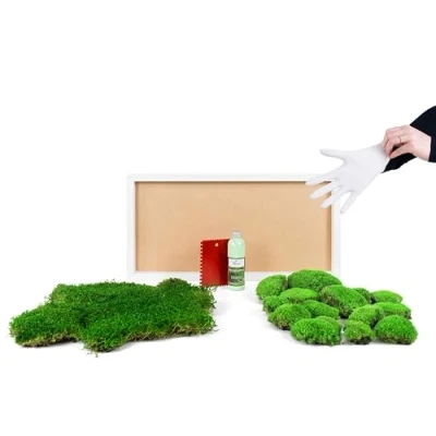 Abbildung von DIY Moosbild selber Machen, Wandbilder kleben, Moosbilder gestalten, Do it Yourself Set Moos kleben Wanddeko selbst herstellen (Weiß, 60x30 cm)