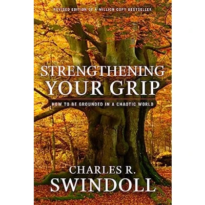 Abbildung von Strengthening Your Grip: How to be Grounded in a Chaotic World