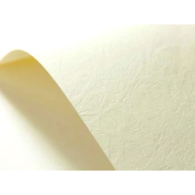 Abbildung von Netuno 100x Struktur Karton Creme ledergenarbt DIN A4 21 x 29,7 cm 246g Elfenbeinkarton Chamois Leder Prägung strukturiert Prägekarton für Visitenkarten Einladungen Zertifikate