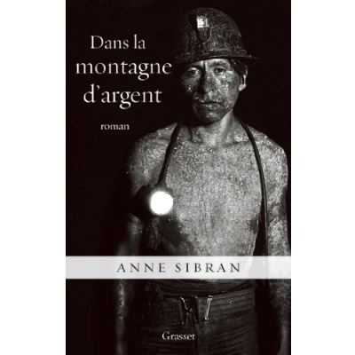 Abbildung von Dans La Montagne D Argent: roman (Litterature Francaise)