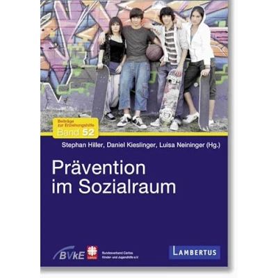 Abbildung von Prävention im Sozialraum (Beiträge zur Erziehungshilfe)